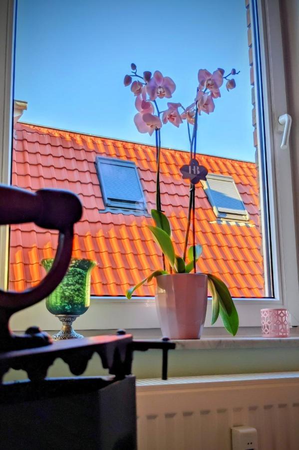 Queen Apartment أويلتسن المظهر الخارجي الصورة